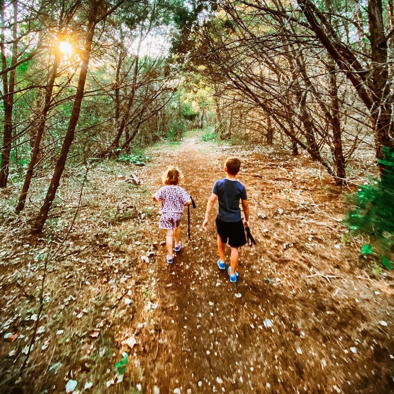 Wolf Ranch Trails